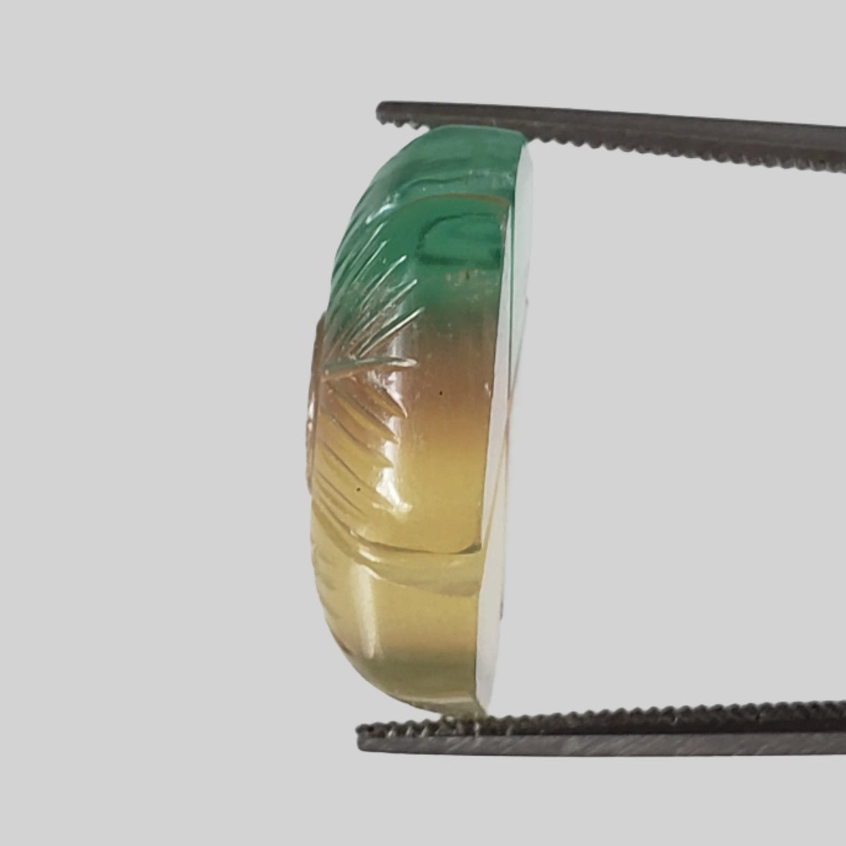  Fluorite | Carved Fluorite | Tri Color | 18x14mm 16ct 3