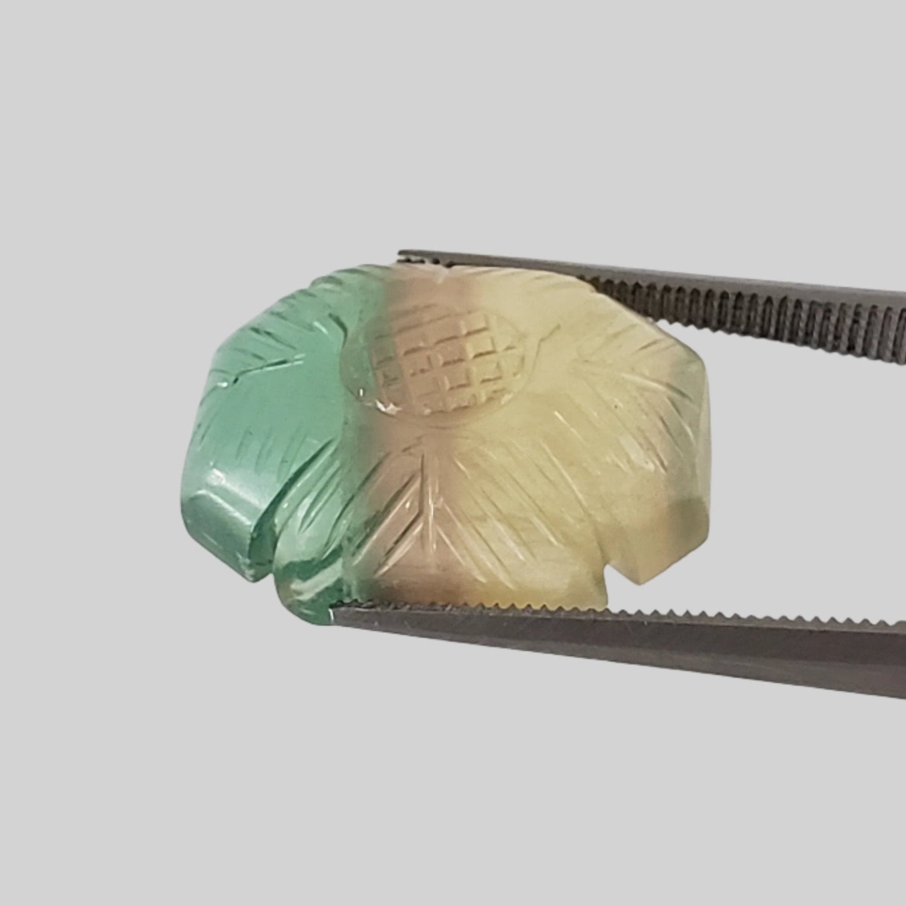  Fluorite | Carved Fluorite | Tri Color | 18x14mm 16ct 5