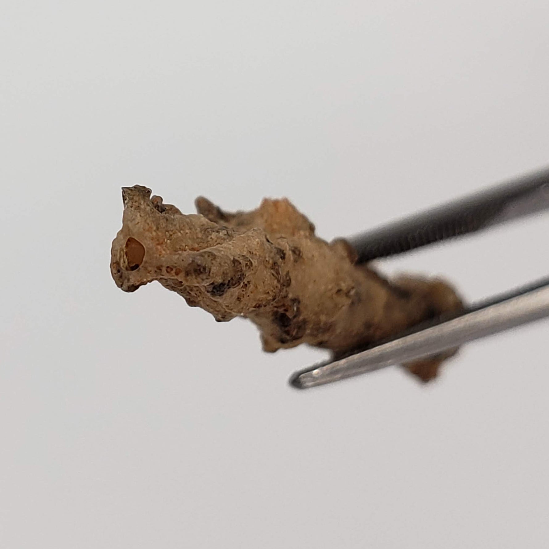  Fulgurite | Natural Lightning Impact Glass | 1.44 Grams | Sahara 1