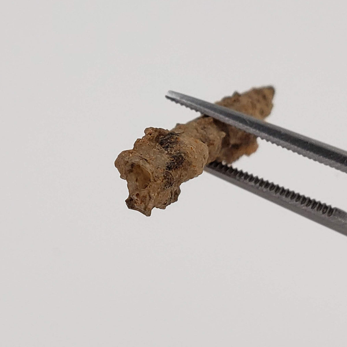  Fulgurite | Natural Lightning Impact Glass | 1.44 Grams | Sahara 2