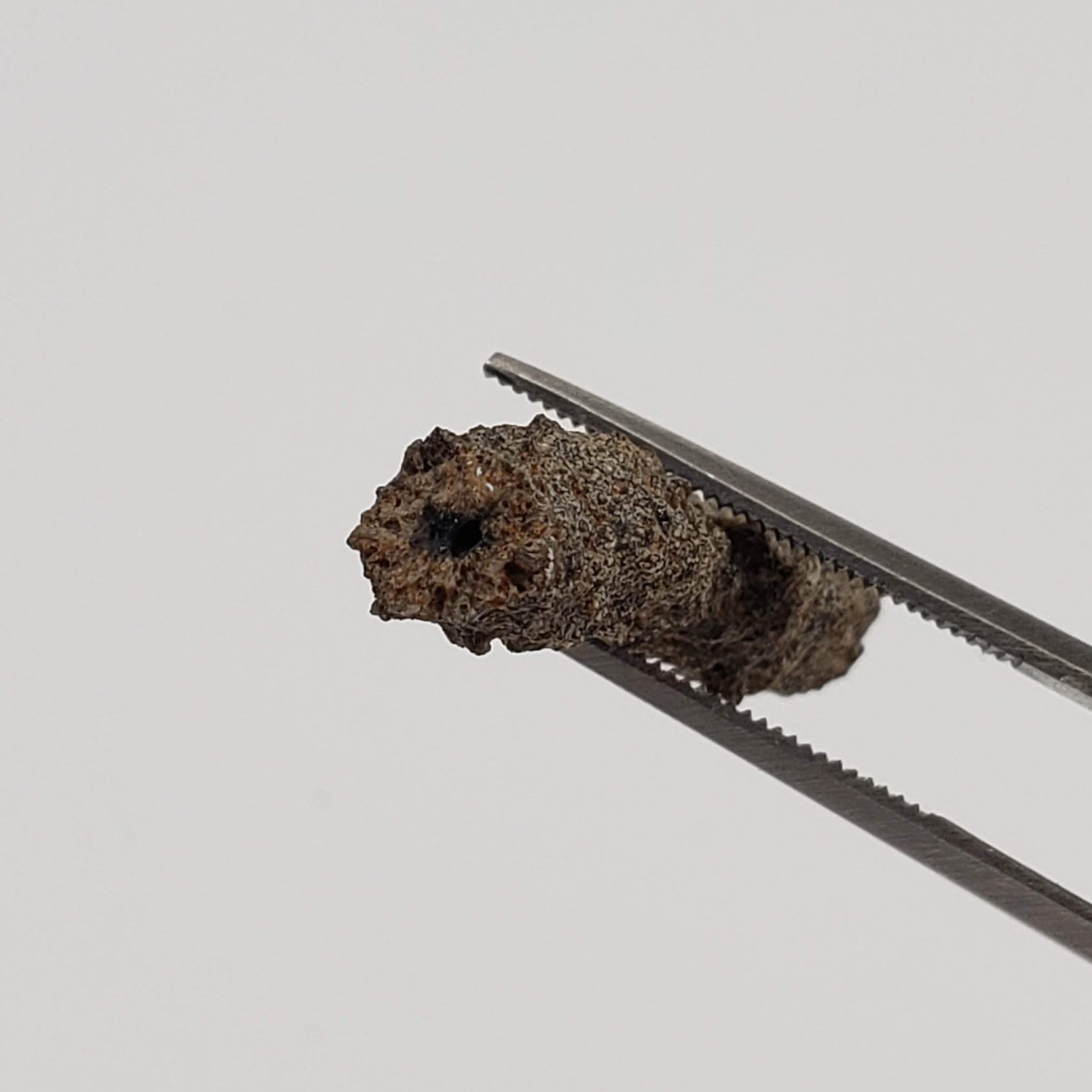  Fulgurite | Natural Lightning Impact Glass | 1.44 Grams | Sahara 3