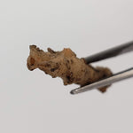  Fulgurite | Natural Lightning Impact Glass | 1.44 Grams | Sahara 1