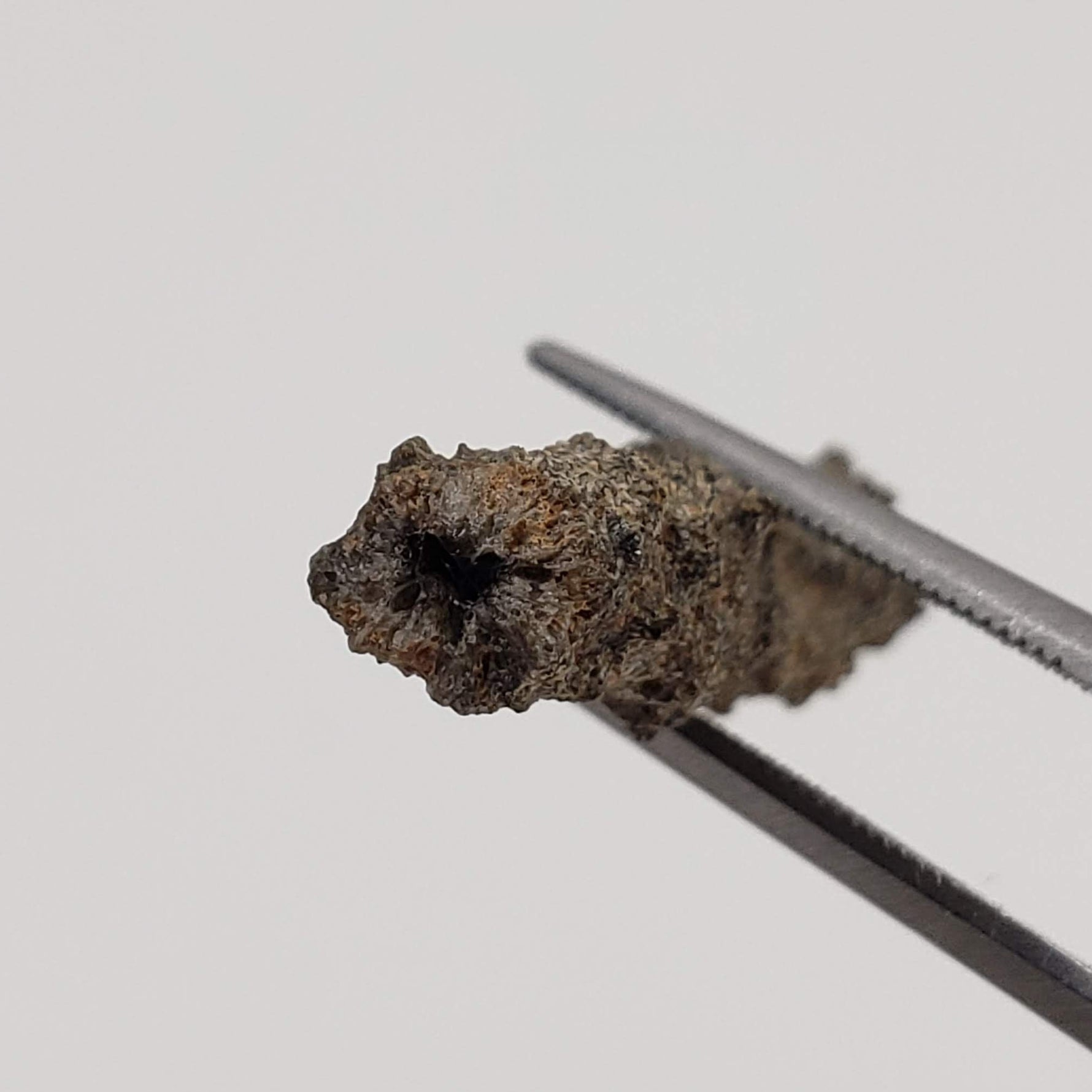  Fulgurite | Natural Lightning Impact Glass | 1.44 Grams | Sahara 4