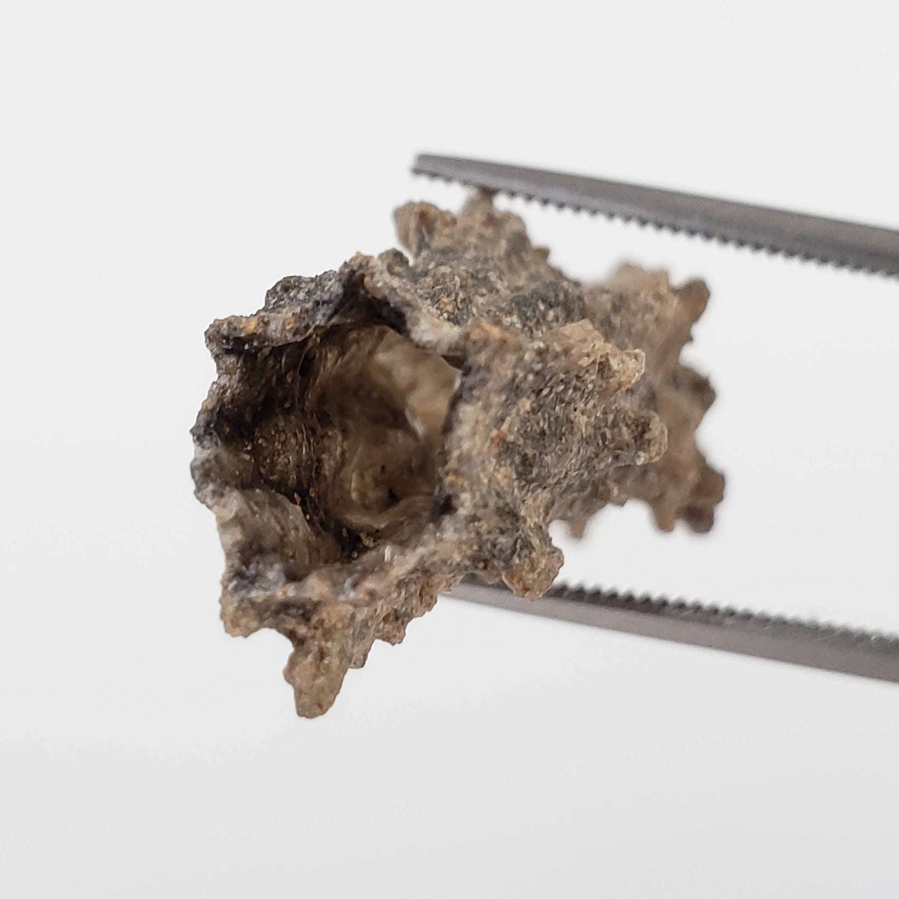  Fulgurite | Natural Lightning Impact Glass | 1.45 Grams | Sahara 3