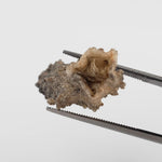  Fulgurite | Natural Lightning Impact Glass | 1.45 Grams | Sahara 4