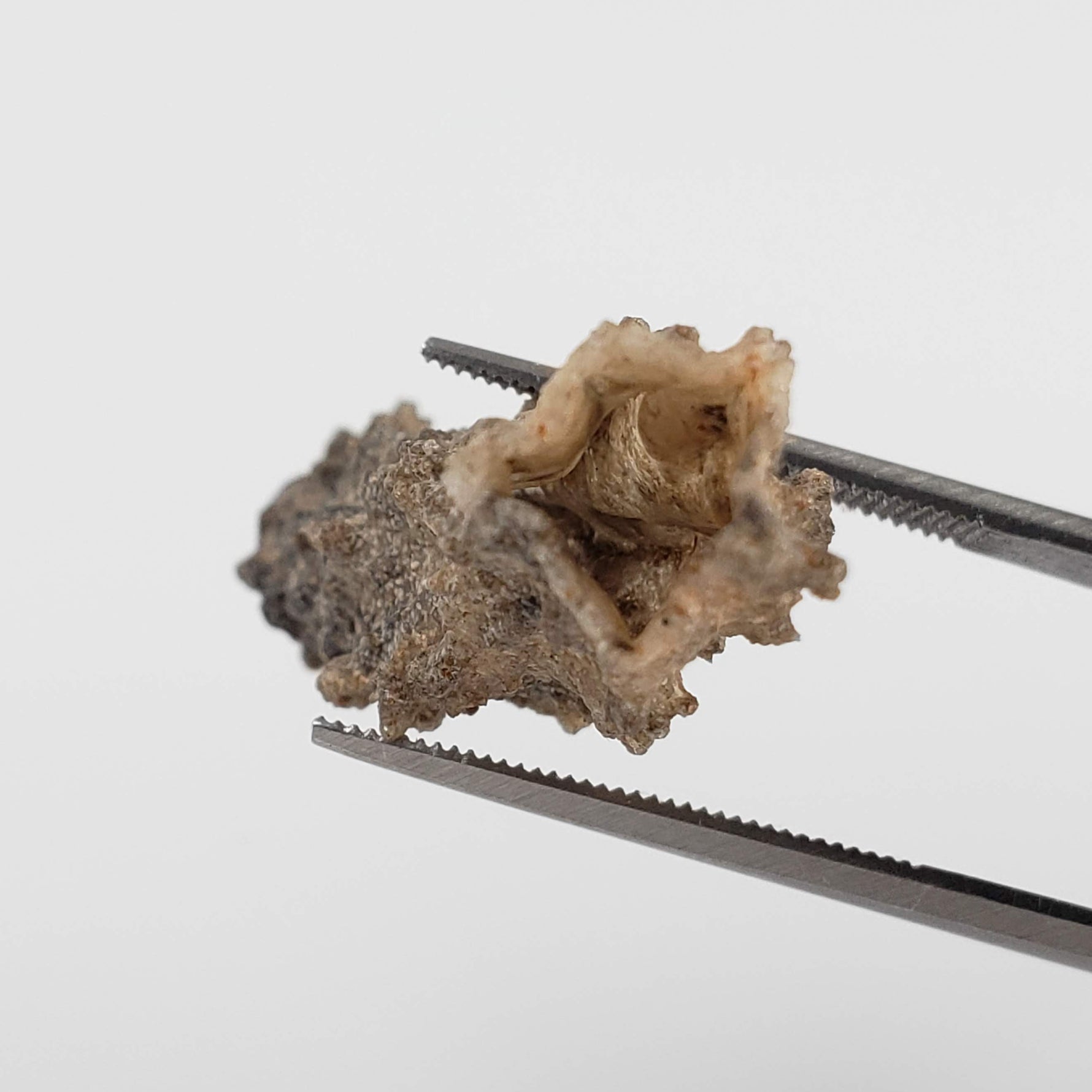  Fulgurite | Natural Lightning Impact Glass | 1.45 Grams | Sahara 4