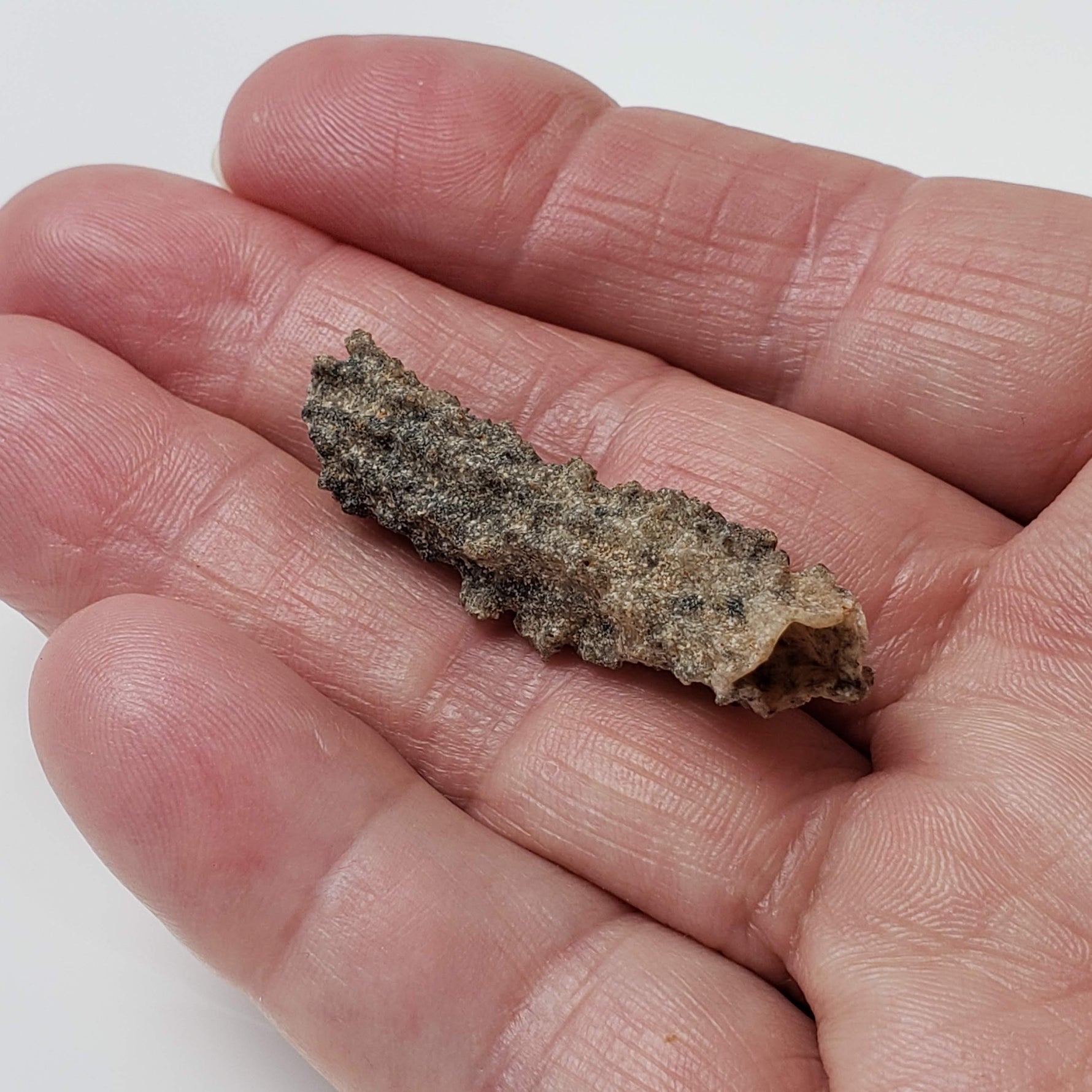  Fulgurite | Natural Lightning Impact Glass | 1.45 Grams | Sahara 5