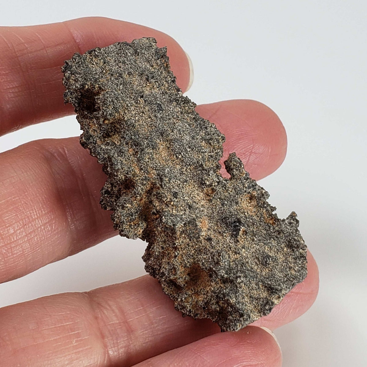  Fulgurite | Natural Lightning Impact Glass | 11.98 Grams | Sahara 6