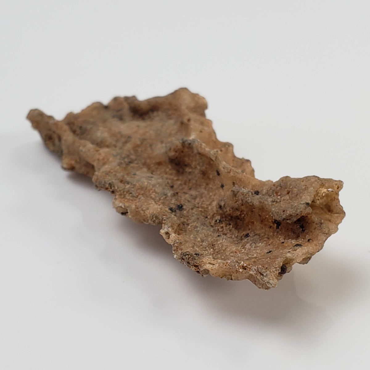  Fulgurite | Natural Lightning Impact Glass | 2.02 Grams | Sahara 1