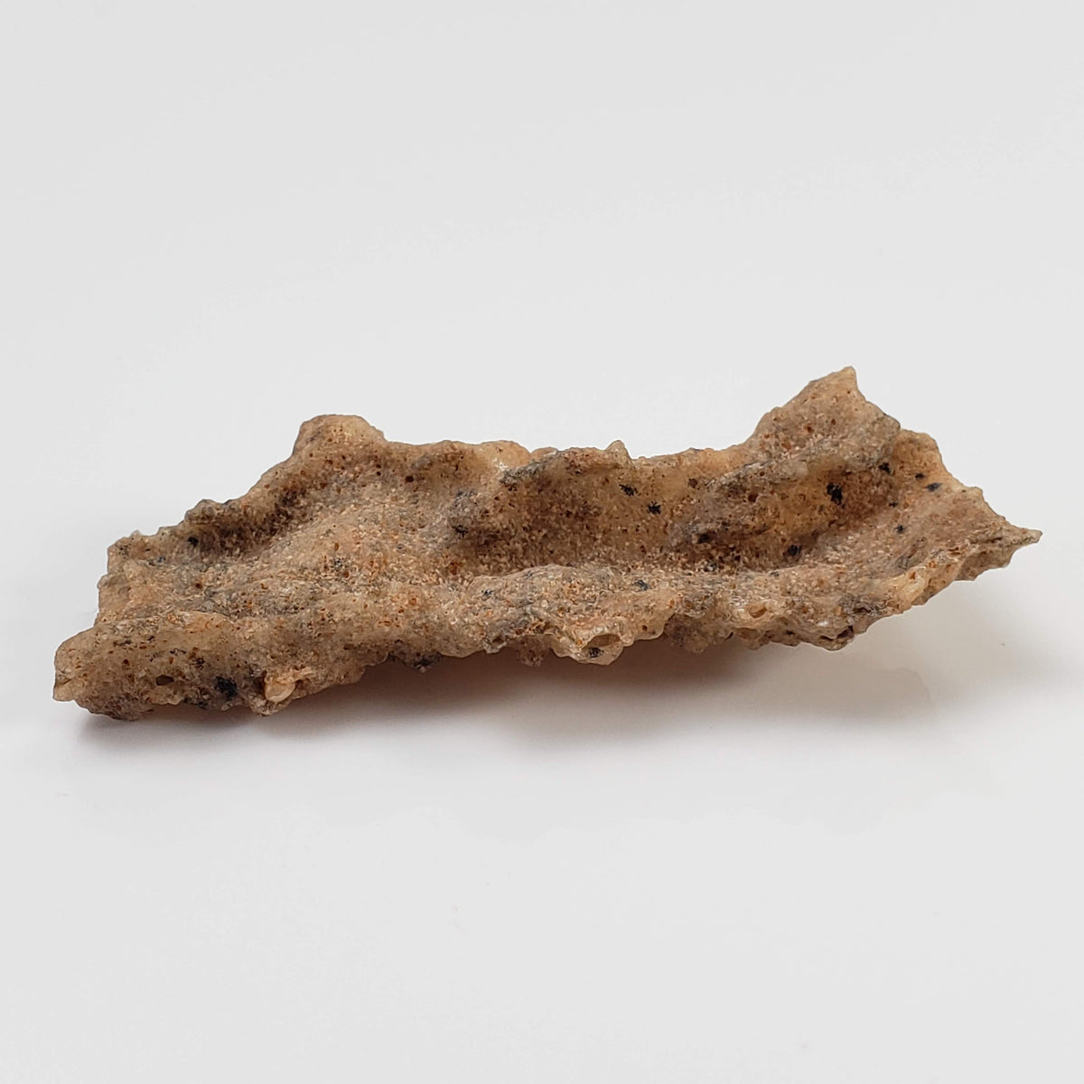  Fulgurite | Natural Lightning Impact Glass | 2.02 Grams | Sahara 3