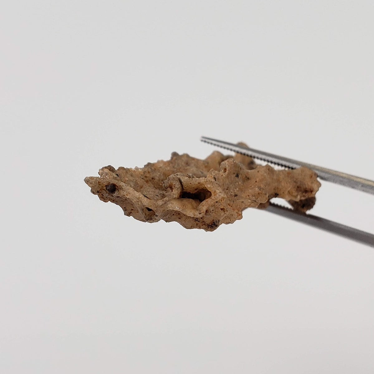  Fulgurite | Natural Lightning Impact Glass | 2.02 Grams | Sahara 2