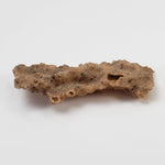  Fulgurite | Natural Lightning Impact Glass | 2.02 Grams | Sahara 4