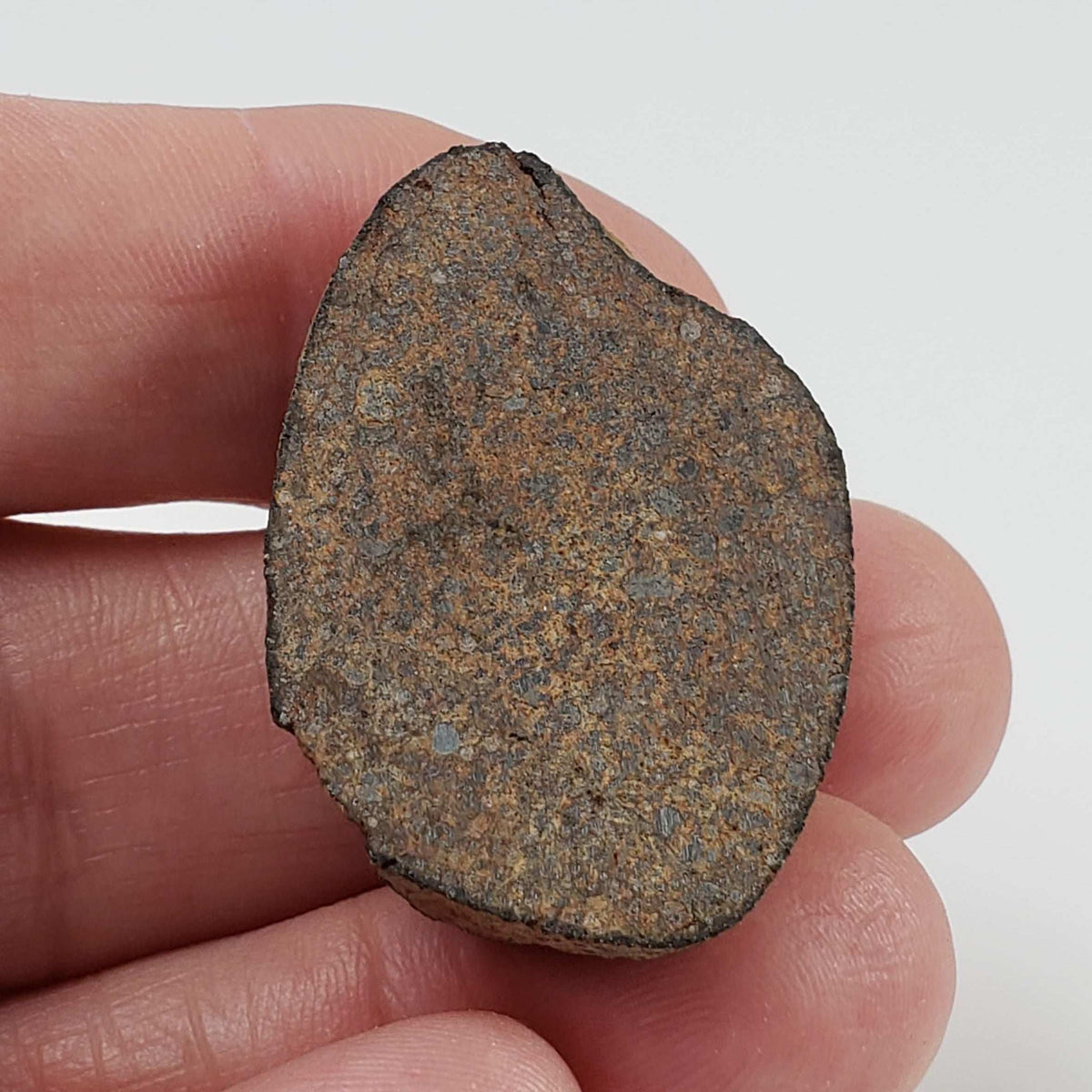  Gao-Guenie Meteorite | 15.18 grams | End Cut | H5 Chondrite | Observed Fall | Burkina Faso 3