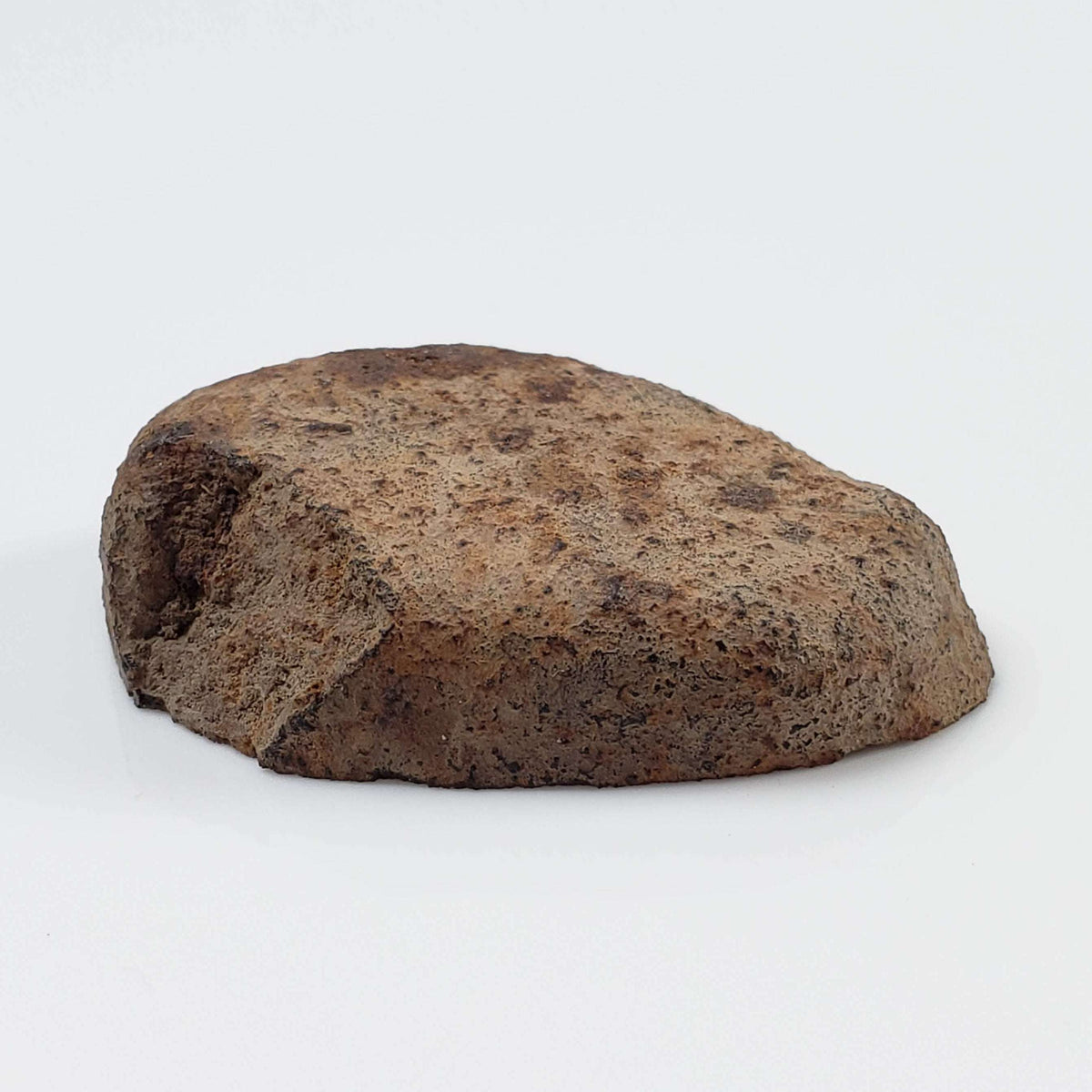  Gao-Guenie Meteorite | 15.18 grams | End Cut | H5 Chondrite | Observed Fall | Burkina Faso 6