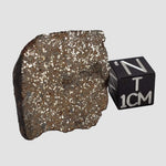  Gao-Guenie Meteorite | 18.98 grams | End Cut | H5 Chondrite | Observed Fall | Burkina Faso 