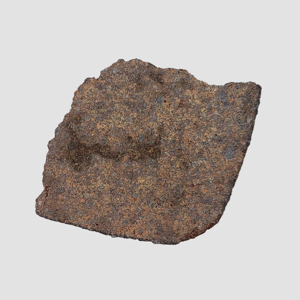  Gao-Guenie Meteorite | 18.98 grams | End Cut | H5 Chondrite | Observed Fall | Burkina Faso 2