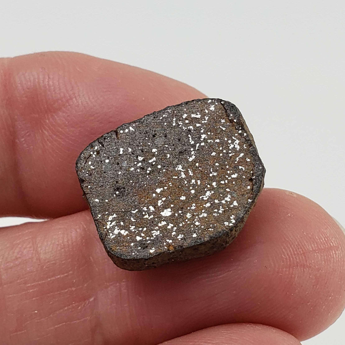  Gao-Guenie Meteorite | 2.95 grams | End Cut | H5 Chondrite | Observed Fall | Burkina Faso 5