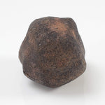  Gao-Guenie Meteorite | 26.72 gr | H5 Chondrite | Observed Fall | Burkina Faso | 100% Crusted 2