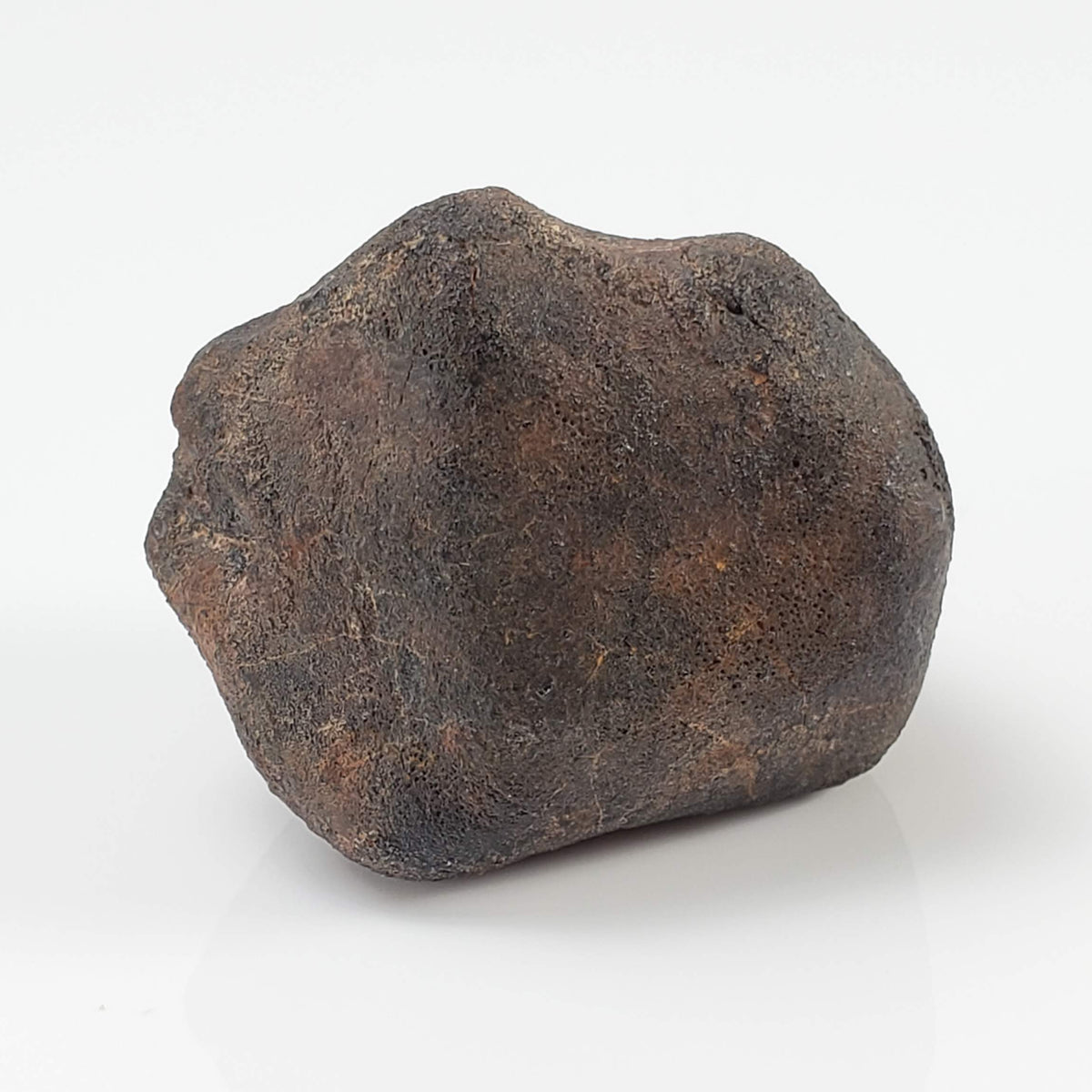  Gao-Guenie Meteorite | 26.72 gr | H5 Chondrite | Observed Fall | Burkina Faso | 100% Crusted 4