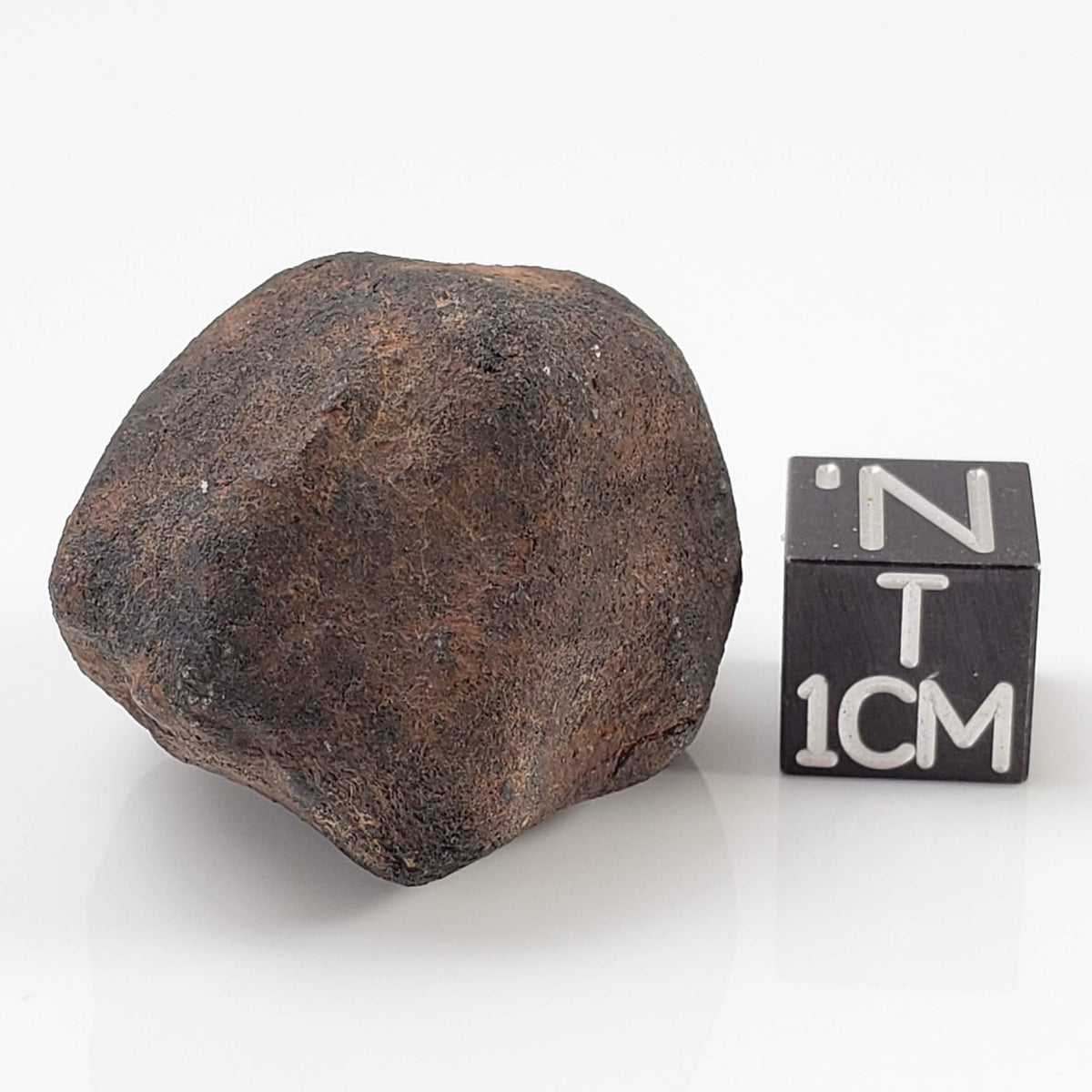  Gao-Guenie Meteorite | 26.72 gr | H5 Chondrite | Observed Fall | Burkina Faso | 100% Crusted 