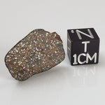  Gao-Guenie Meteorite | 3.04 grams | End Cut | H5 Chondrite | Observed Fall | Burkina Faso | SO24 