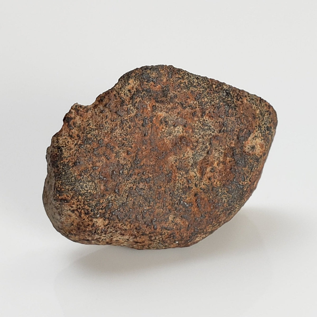  Gao-Guenie Meteorite | 3.04 grams | End Cut | H5 Chondrite | Observed Fall | Burkina Faso | SO24 1