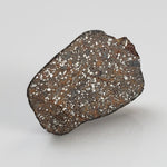  Gao-Guenie Meteorite | 3.04 grams | End Cut | H5 Chondrite | Observed Fall | Burkina Faso | SO24 2
