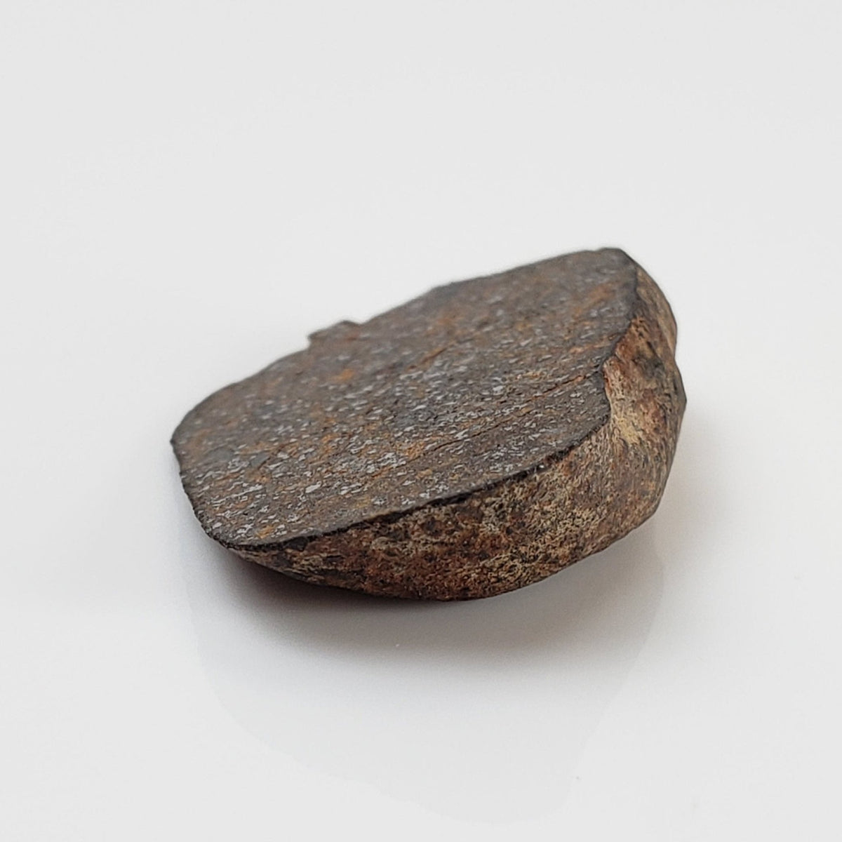  Gao-Guenie Meteorite | 3.04 grams | End Cut | H5 Chondrite | Observed Fall | Burkina Faso | SO24 6