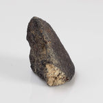  Gao-Guenie Meteorite | 3.65 gr | H5 Chondrite | Observed Fall | Burkina Faso 3