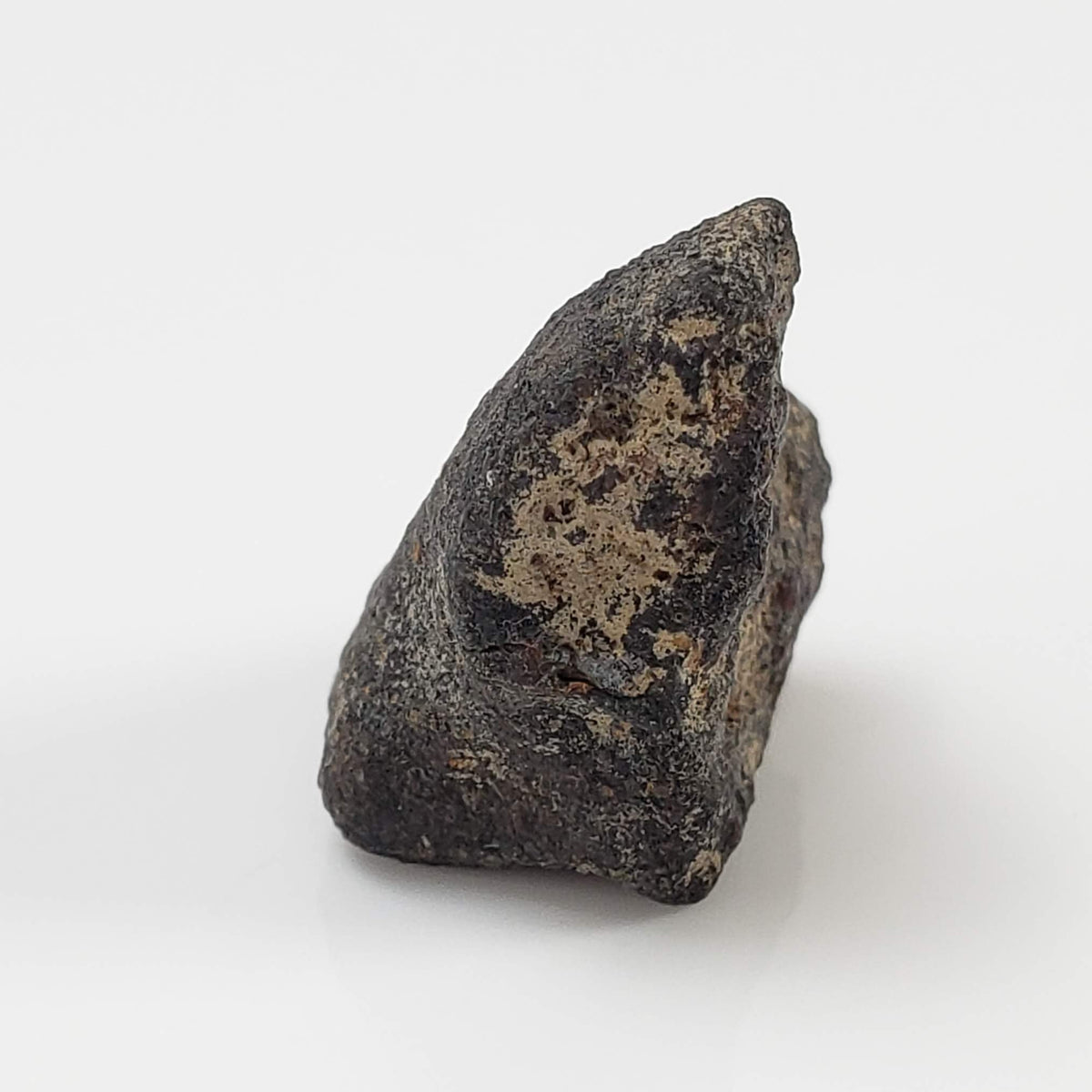  Gao-Guenie Meteorite | 3.65 gr | H5 Chondrite | Observed Fall | Burkina Faso 2