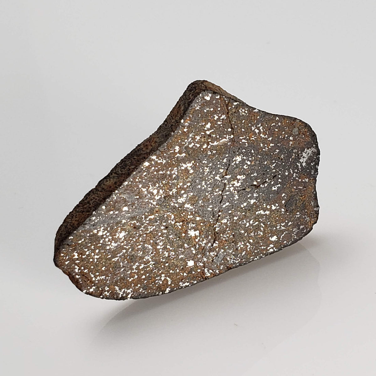  Gao-Guenie Meteorite | 7.76 grams | Slice | H5 Chondrite | Observed Fall | Burkina Faso 1