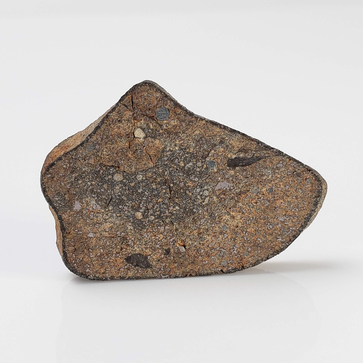  Gao-Guenie Meteorite | 7.76 grams | Slice | H5 Chondrite | Observed Fall | Burkina Faso 3