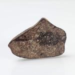  Gao-Guenie Meteorite | 7.76 grams | Slice | H5 Chondrite | Observed Fall | Burkina Faso 2