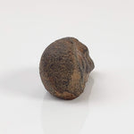  Gao-Guenie Meteorite | Oriented | 4.54 gr | H5 Chondrite | Observed Fall | Burkina Faso 3