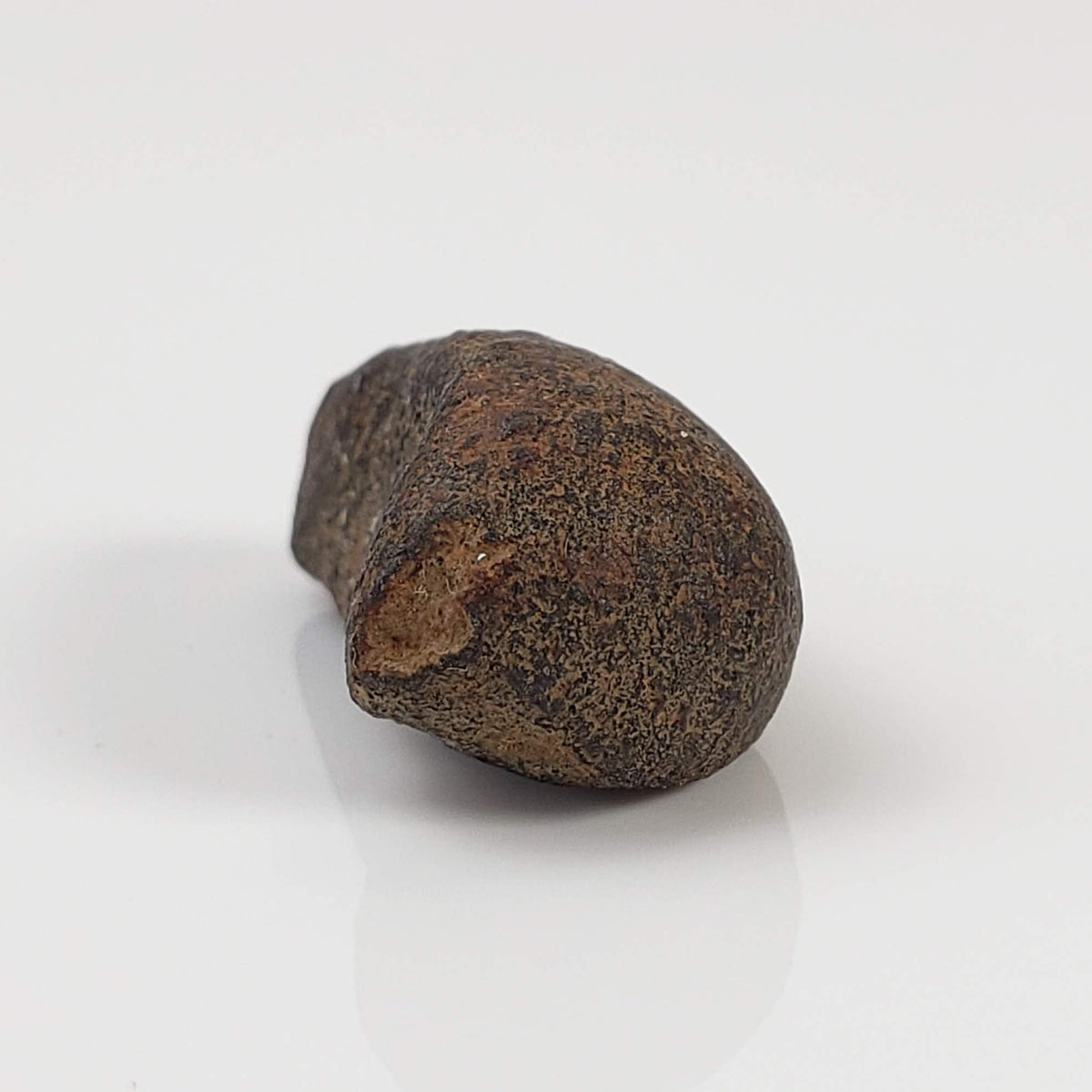  Gao-Guenie Meteorite | Oriented | 4.54 gr | H5 Chondrite | Observed Fall | Burkina Faso 5