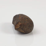  Gao-Guenie Meteorite | Oriented | 4.54 gr | H5 Chondrite | Observed Fall | Burkina Faso 5