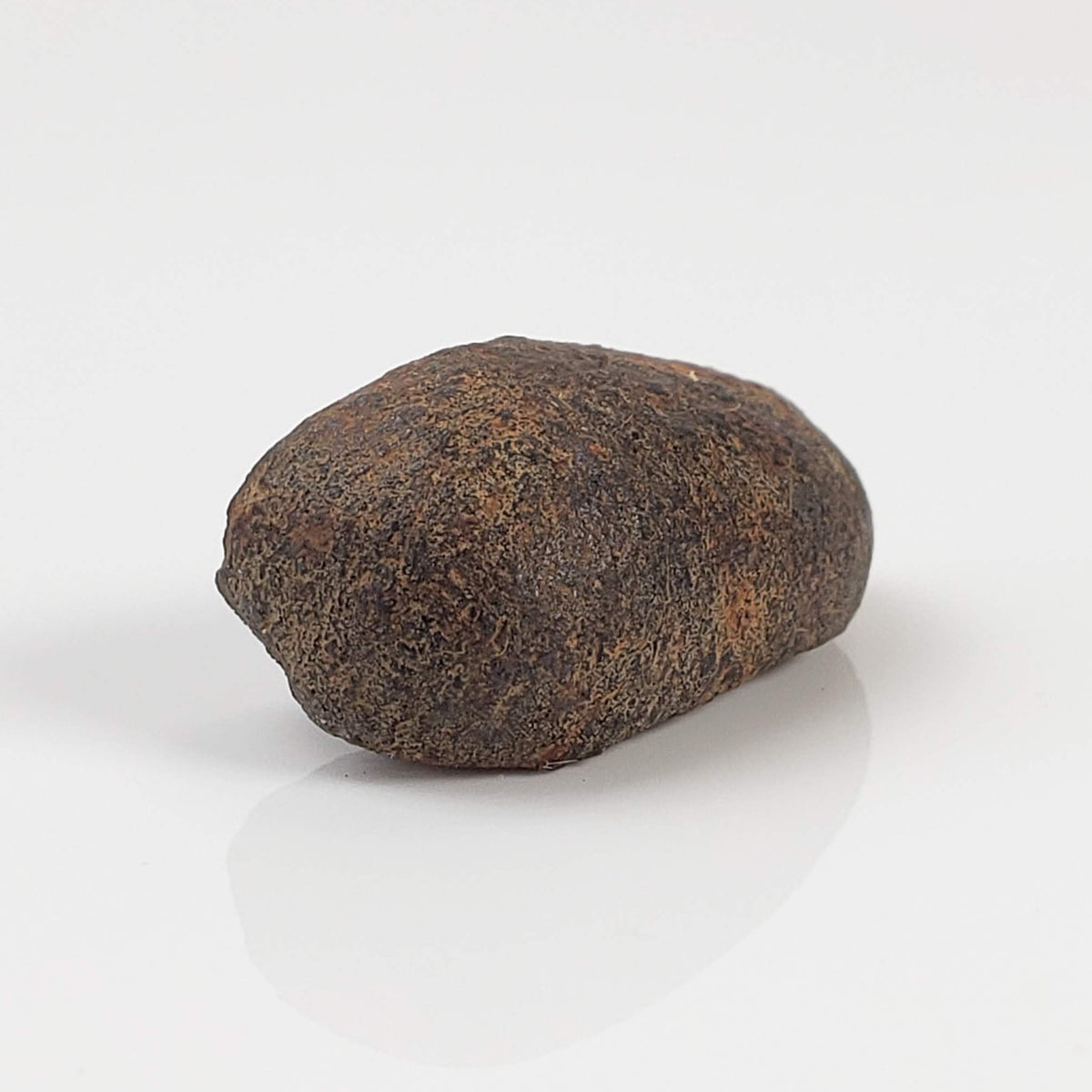  Gao-Guenie Meteorite | Oriented | 4.54 gr | H5 Chondrite | Observed Fall | Burkina Faso 6