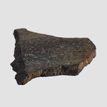 Garabato Meteorite | Rare 4.79 Gr | H5 Chondrite | Santa Fe Prov., Argentina 5