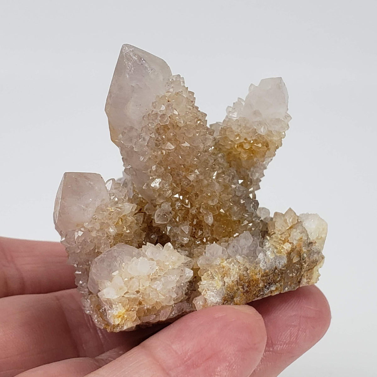  Ghost Cactus Quartz Crystal Cluster | 96 gr | South Africa 6