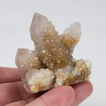  Ghost Cactus Quartz Crystal Cluster | 96 gr | South Africa 6