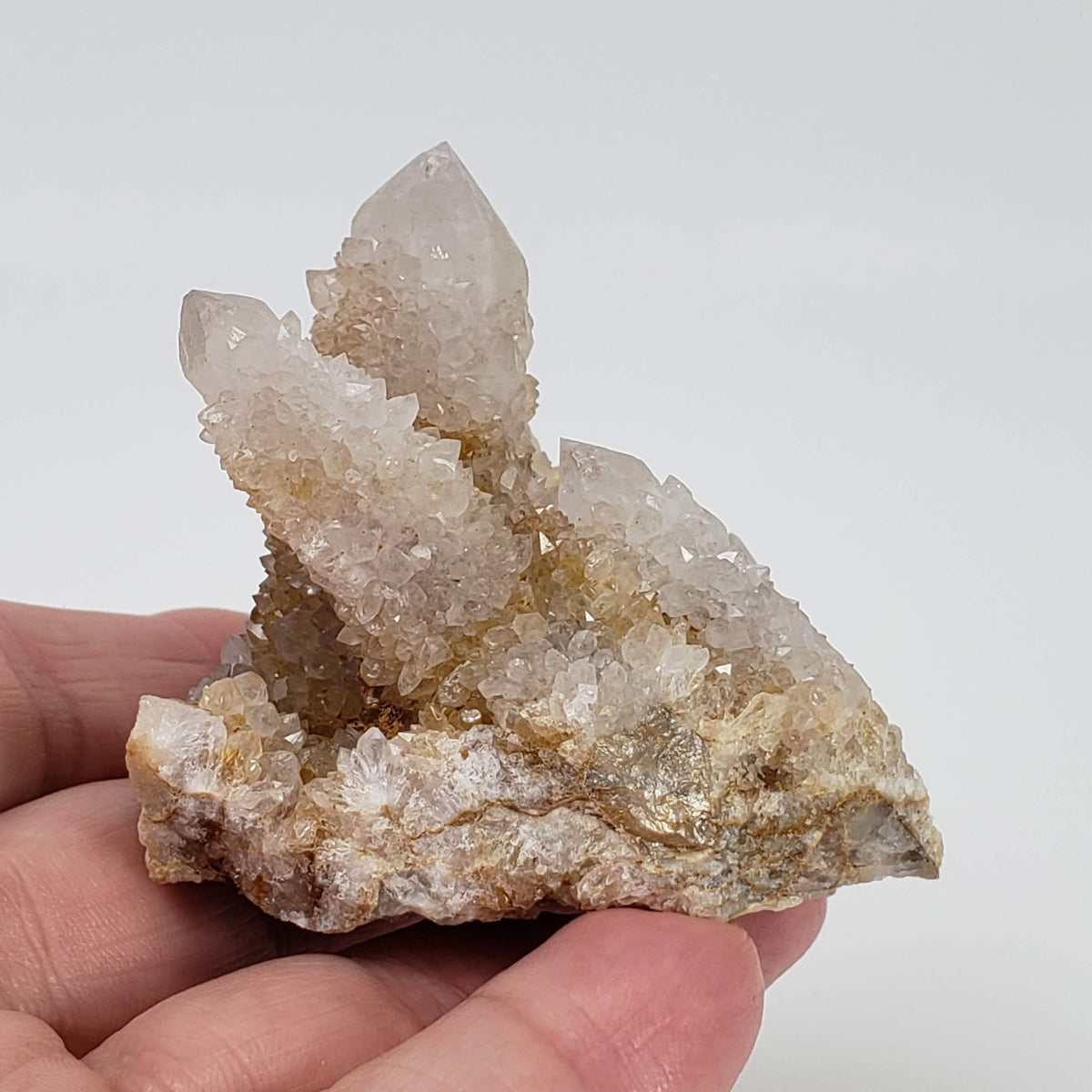  Ghost Cactus Quartz Crystal Cluster | 96 gr | South Africa 4