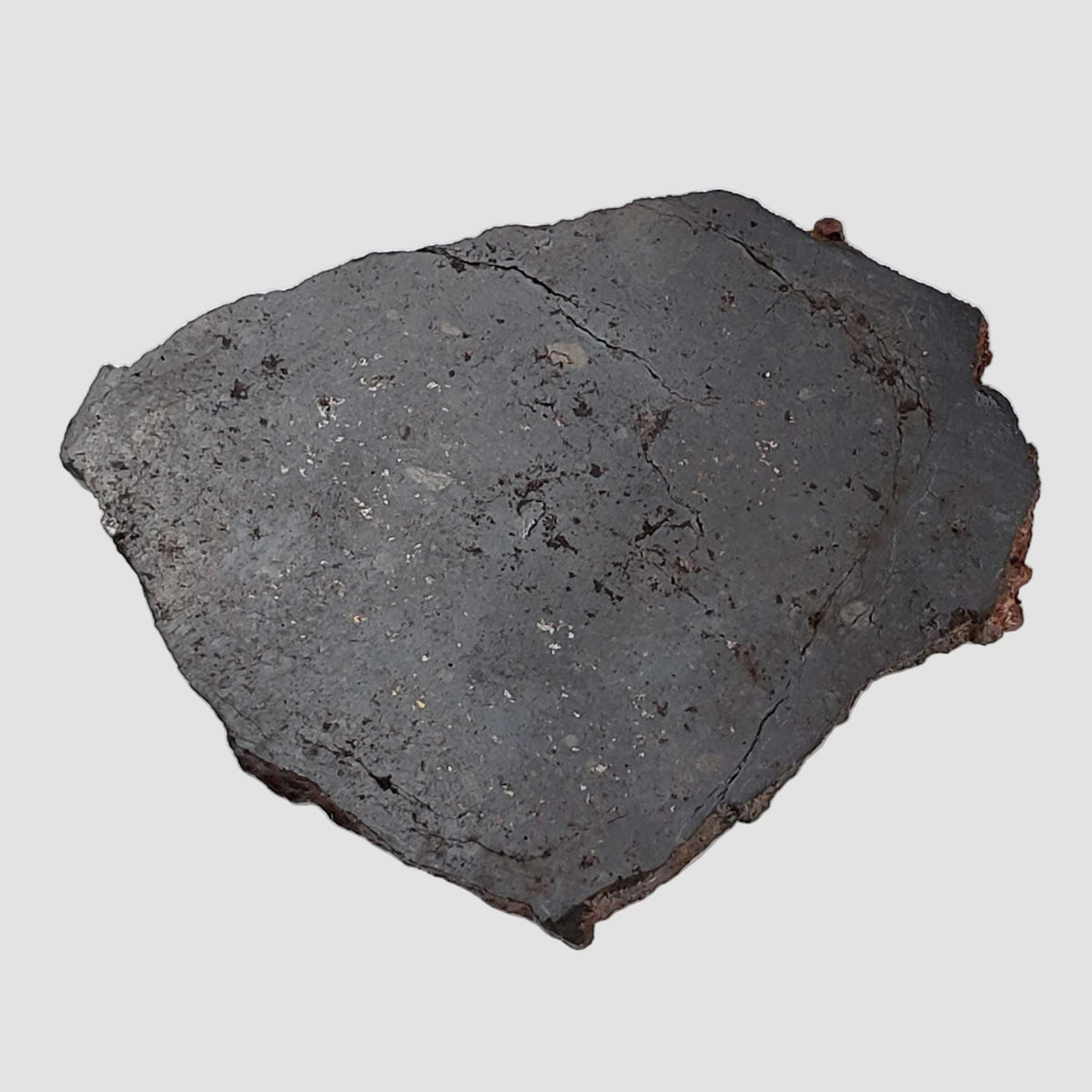  Ghubara Meteorite | 17.6 Gr | Slice | Rare Stony Black L5 Chondrite | Oman 6