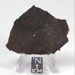  Ghubara Meteorite | 17.6 Gr | Slice | Rare Stony Black L5 Chondrite | Oman 