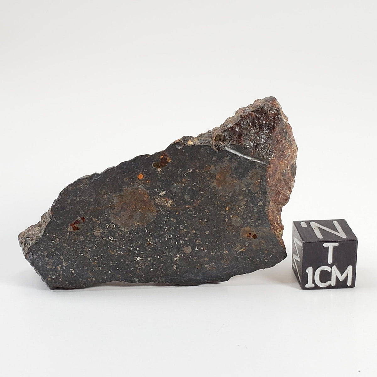  Ghubara Meteorite | 36.12 Gr | End Cut | Rare Stony Black L5 Chondrite | Oman 
