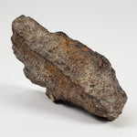  Ghubara Meteorite | 36.12 Gr | End Cut | Rare Stony Black L5 Chondrite | Oman 3