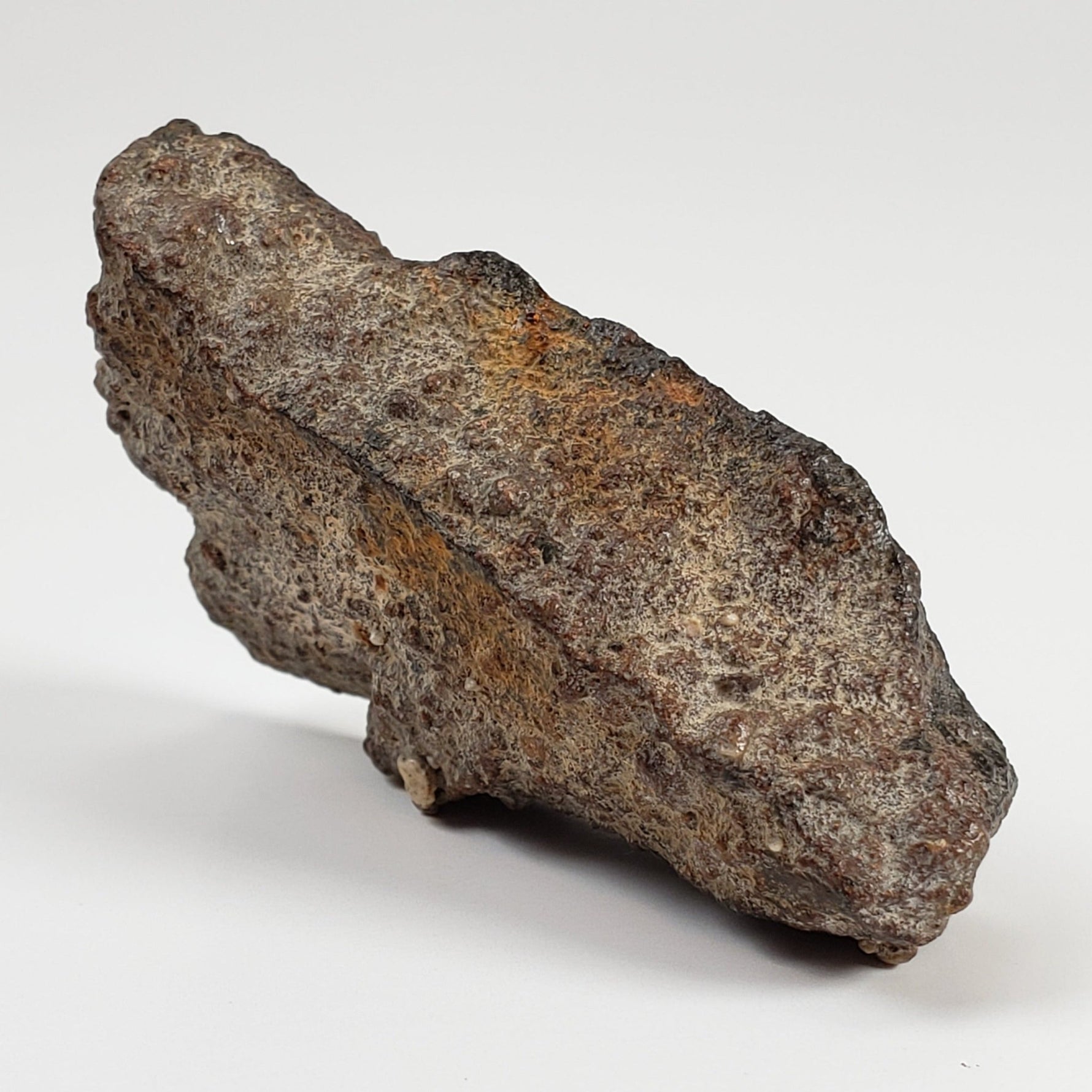  Ghubara Meteorite | 36.12 Gr | End Cut | Rare Stony Black L5 Chondrite | Oman 3