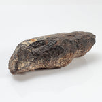  Ghubara Meteorite | 65.8 Gr | Individual | Rare Stony Black L5 Chondrite | SO24 2