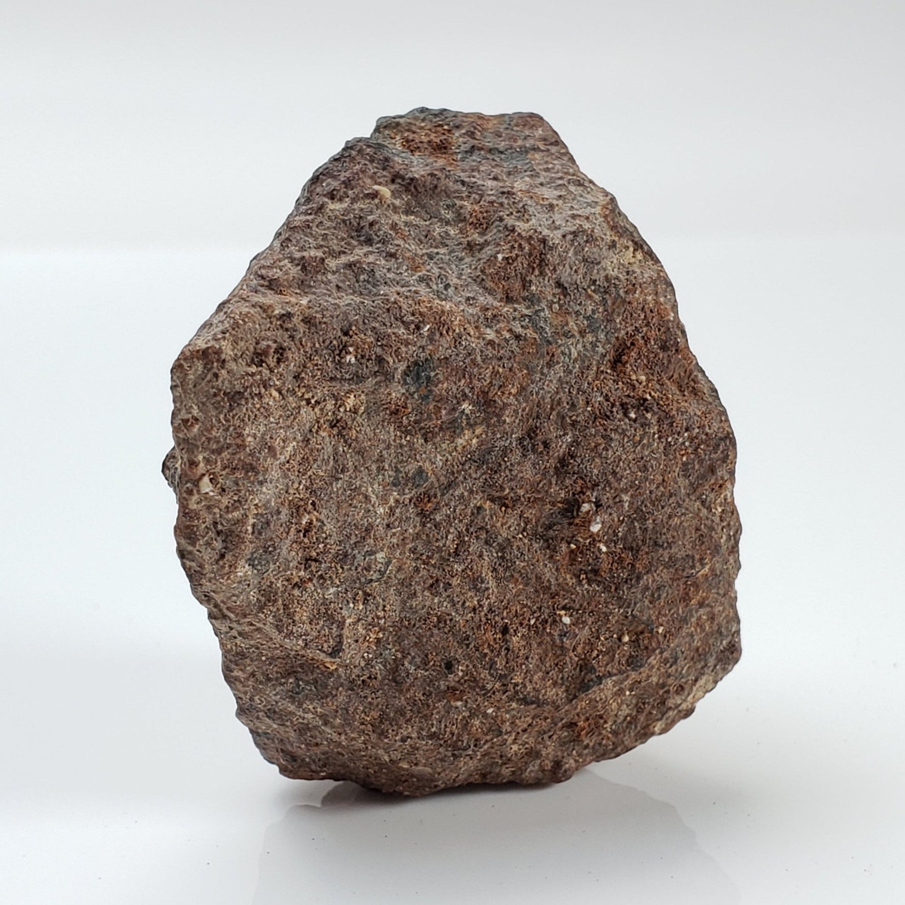  Ghubara Meteorite | 74 Gr | Individual | Rare Stony Black L5 Chondrite 1