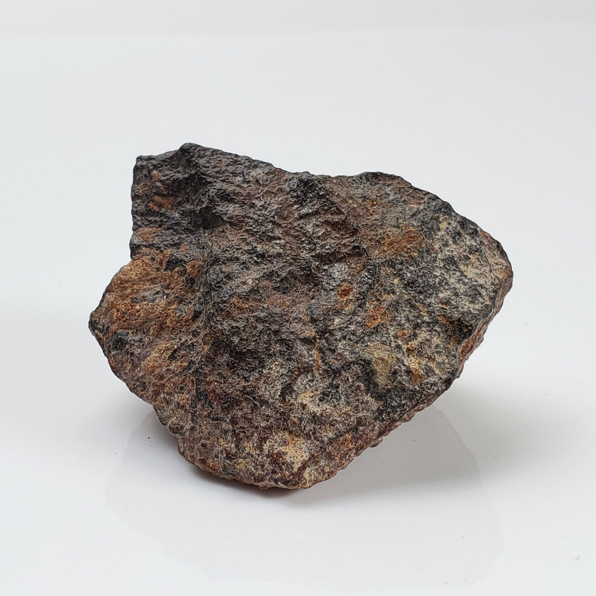  Ghubara Meteorite | 74 Gr | Individual | Rare Stony Black L5 Chondrite 7