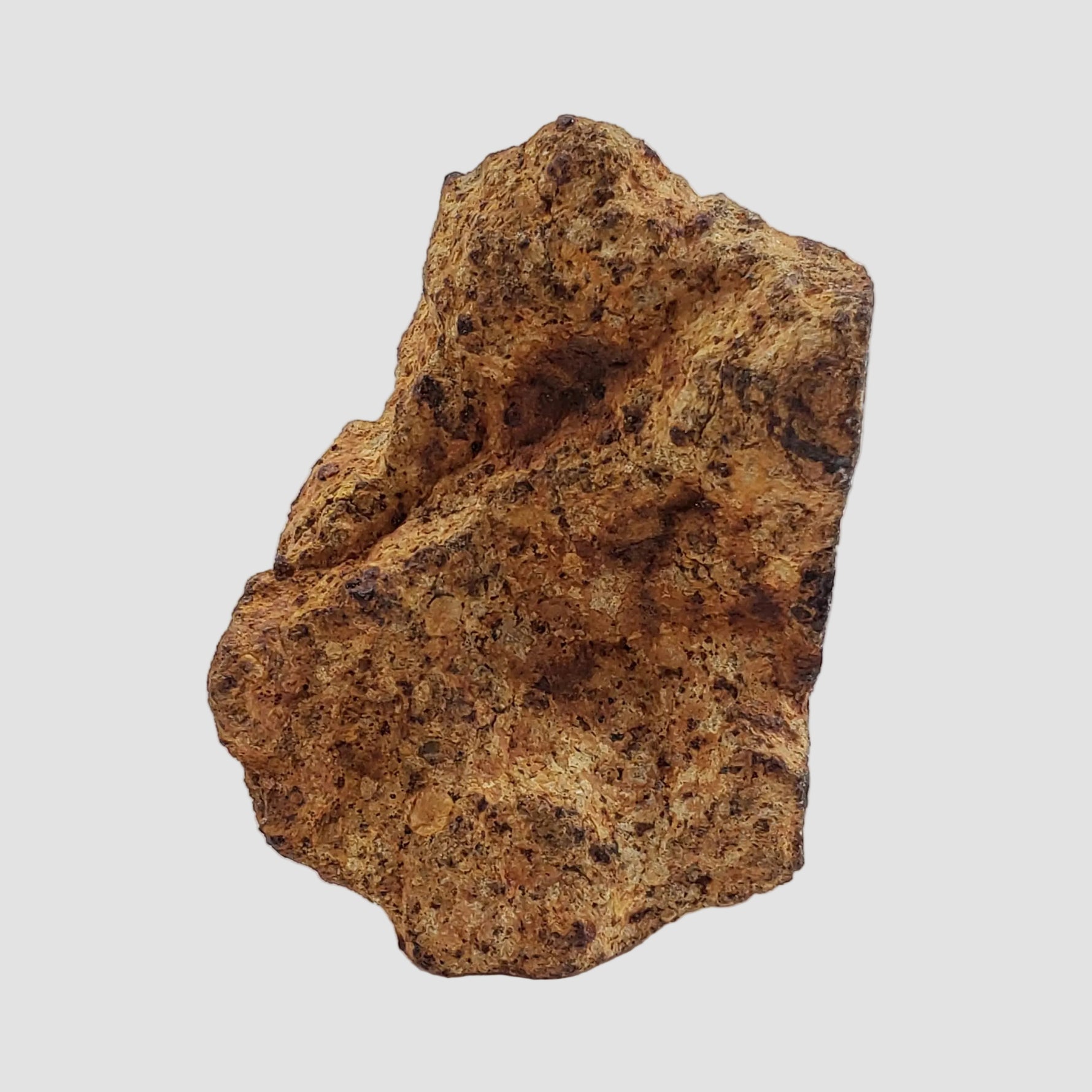  Gold Basin Meteorite | 24.22 Grams | Individual Cut Fragment | L4 Chondrite | Arizona 1